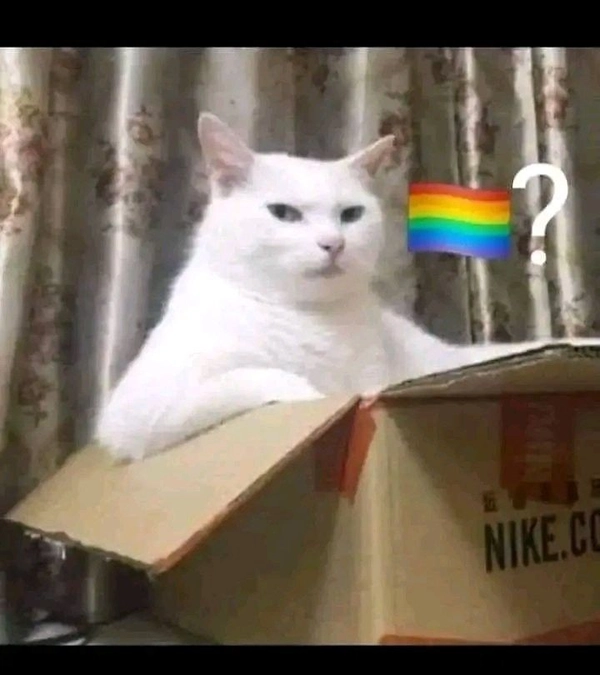 meme gay 24