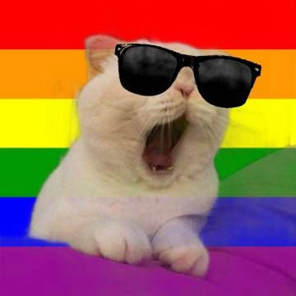 meme gay 25