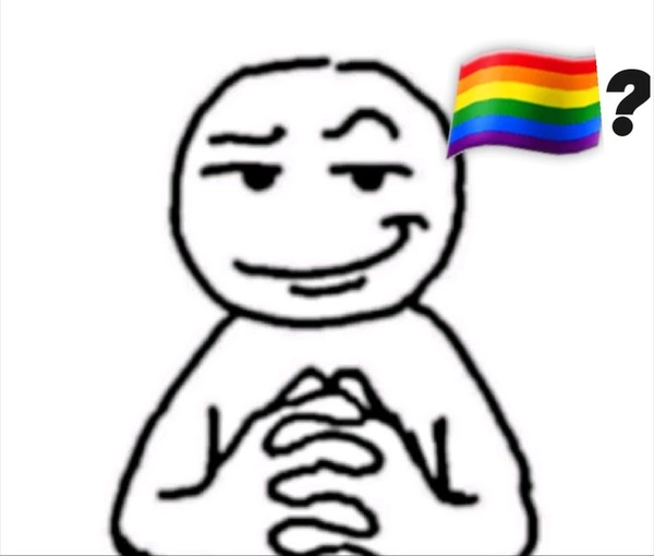 meme gay 26