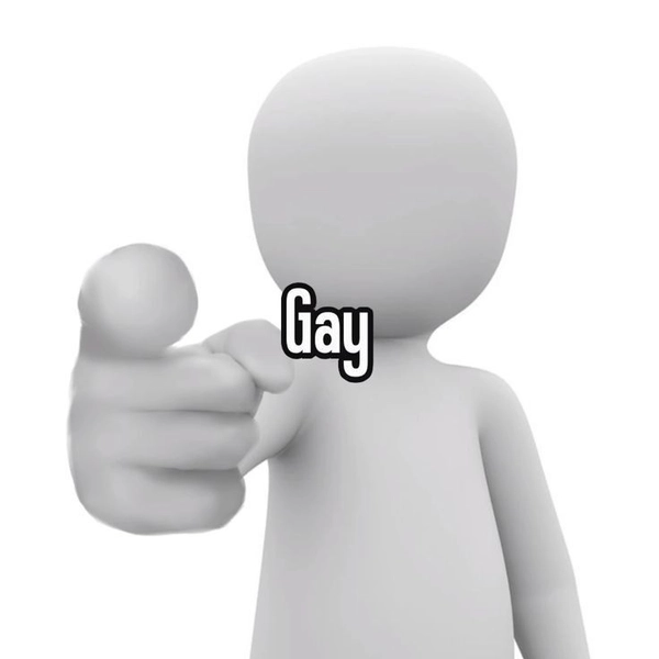 meme gay 28