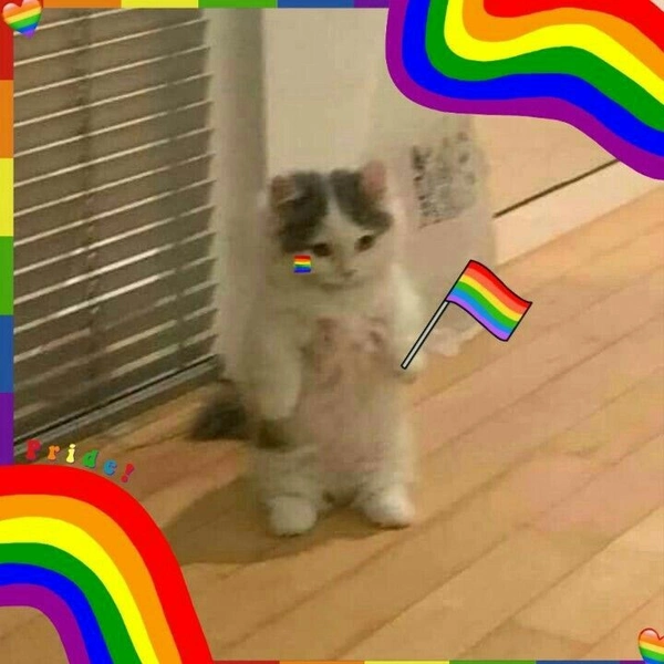 meme gay 30