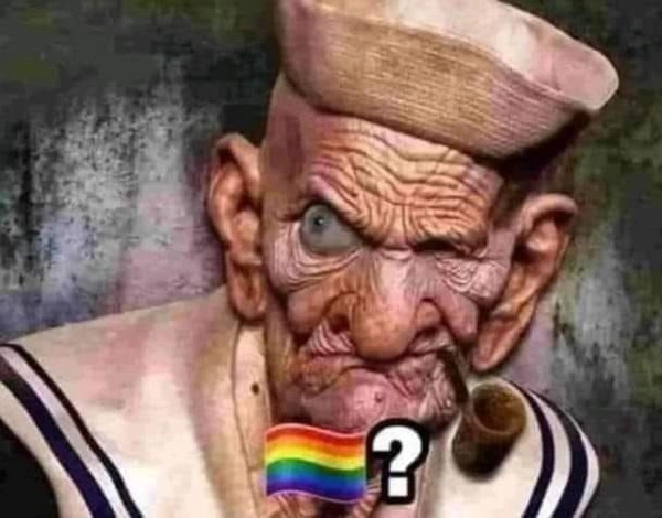 meme gay 36