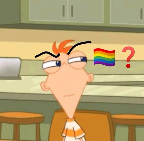 meme gay 37