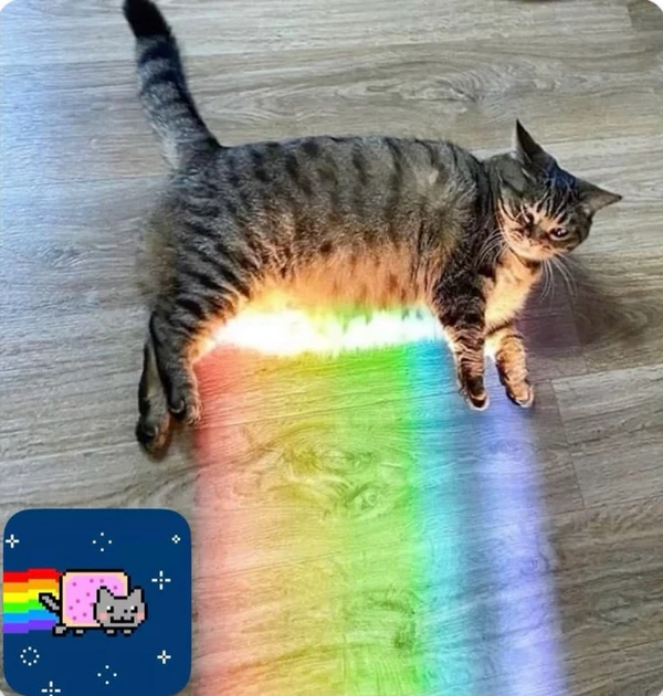 meme gay 5