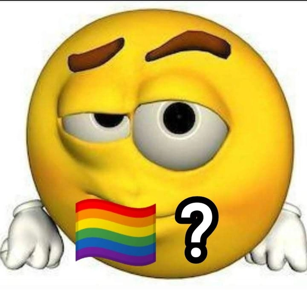 meme gay 6(1)