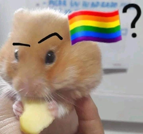 meme gay 7(1)