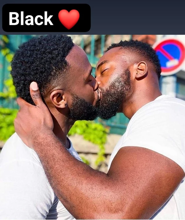 meme gay 9