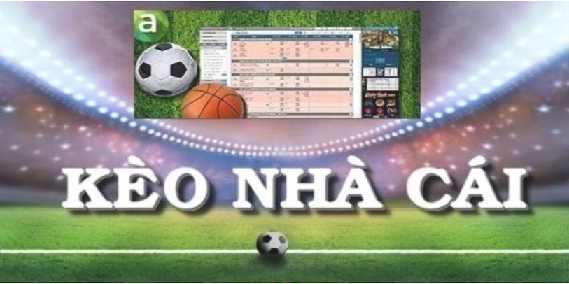 cach-nhan-biet-nha-cai-uy-tin-tai-website-keo-nha-cai
