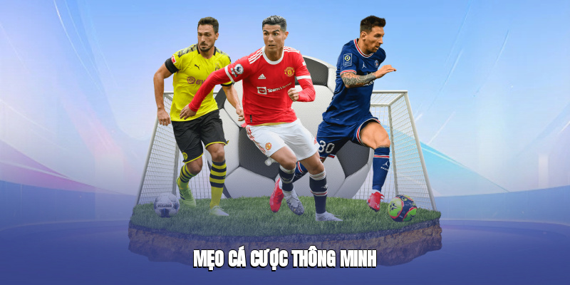 meo-ca-cuoc-thong-minh-3