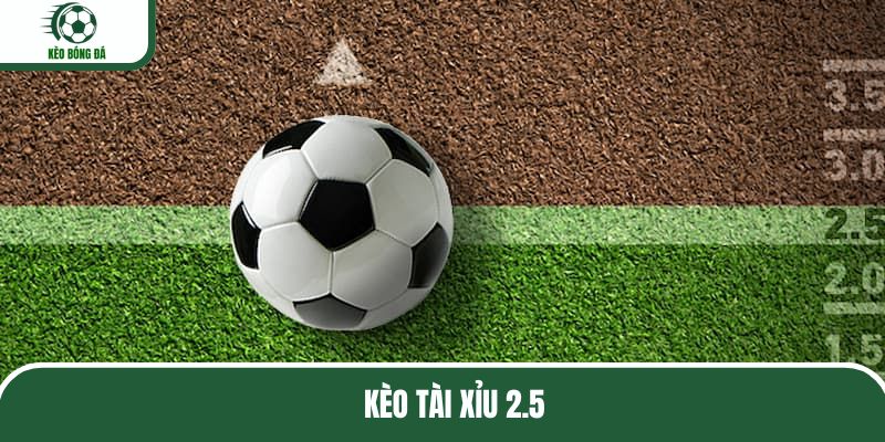 keo-tai-xiu-2-5-anh-dai-dien