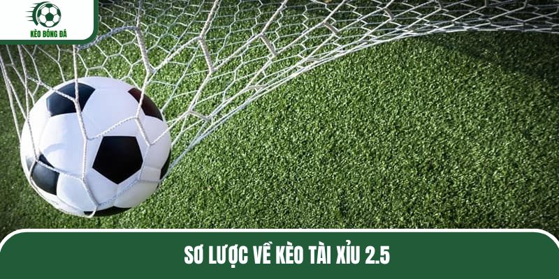 thong-tin-co-ban-tai-xiu-2-5