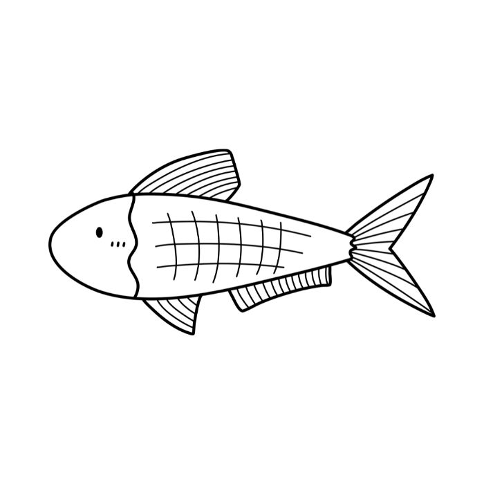 tranh tô màu con cá 24
