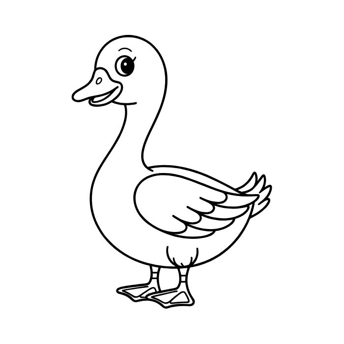 tranh cho bé tô màu 4