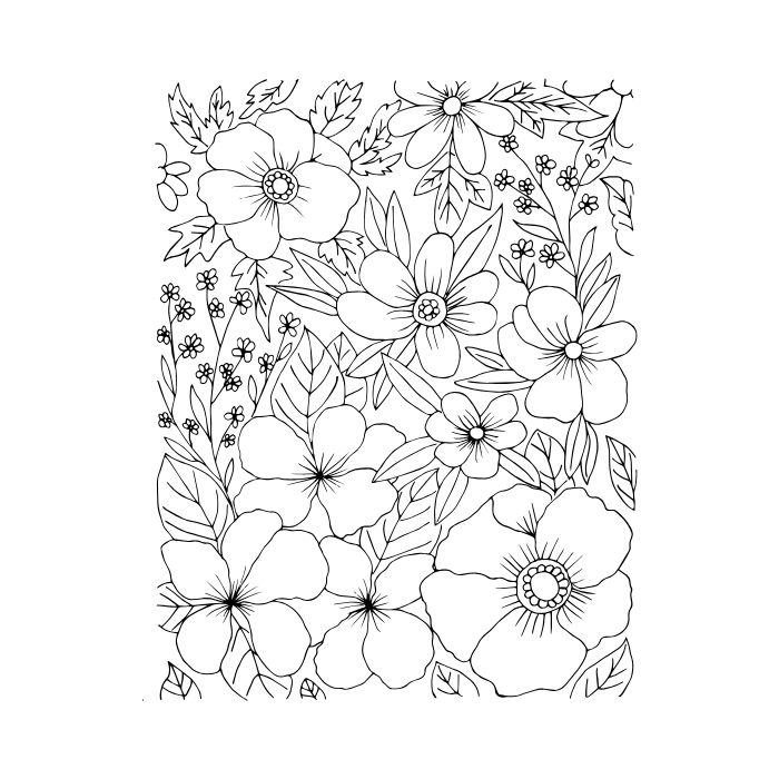 tranh tô màu bông hoa 11