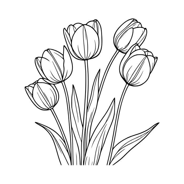 tranh tô màu bông hoa 16