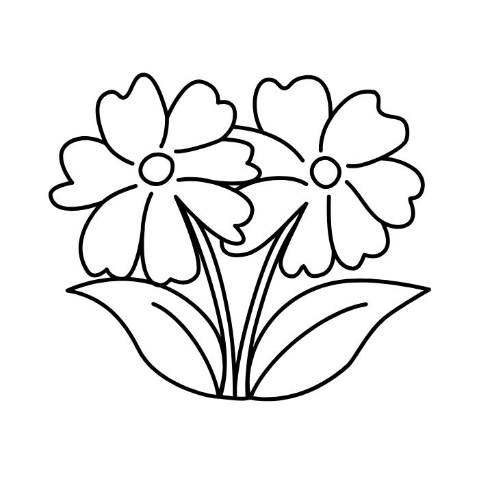 tranh tô màu bông hoa 30