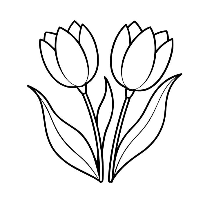 tranh tô màu bông hoa 4