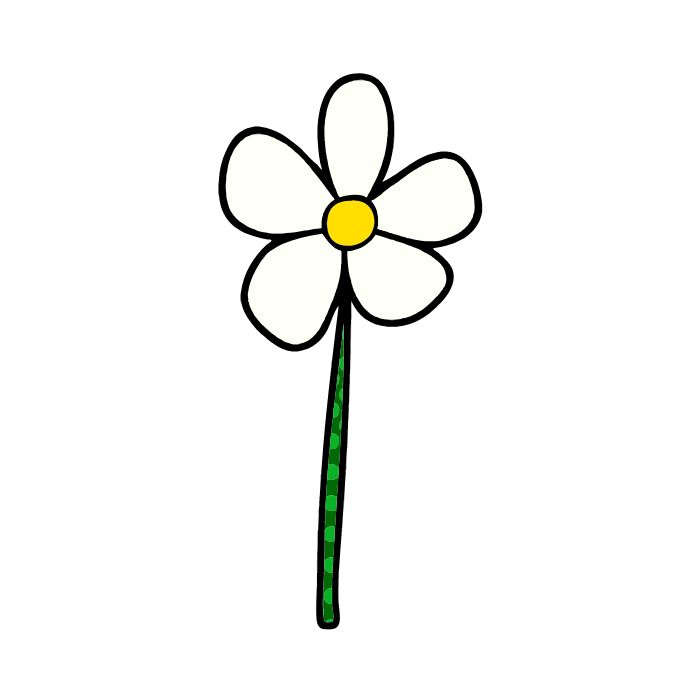 tranh tô màu bông hoa 5 cánh 11