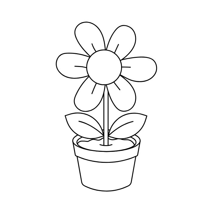 tranh tô màu bông hoa 5 cánh 12