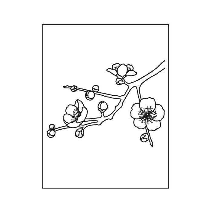 tranh tô màu bông hoa 5 cánh 19