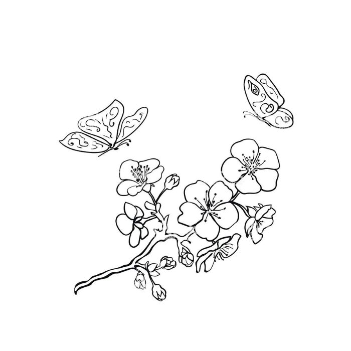 tranh tô màu bông hoa 5 cánh 24