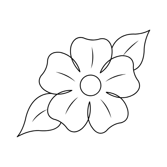 tranh tô màu bông hoa 5 cánh 32