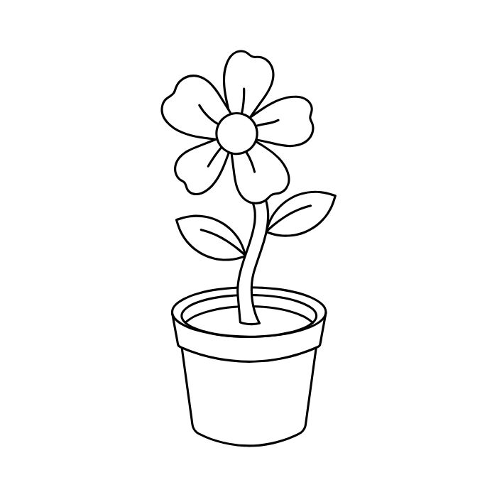 tranh tô màu bông hoa 5 cánh 33