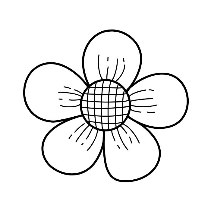 tranh tô màu bông hoa 5 cánh 6