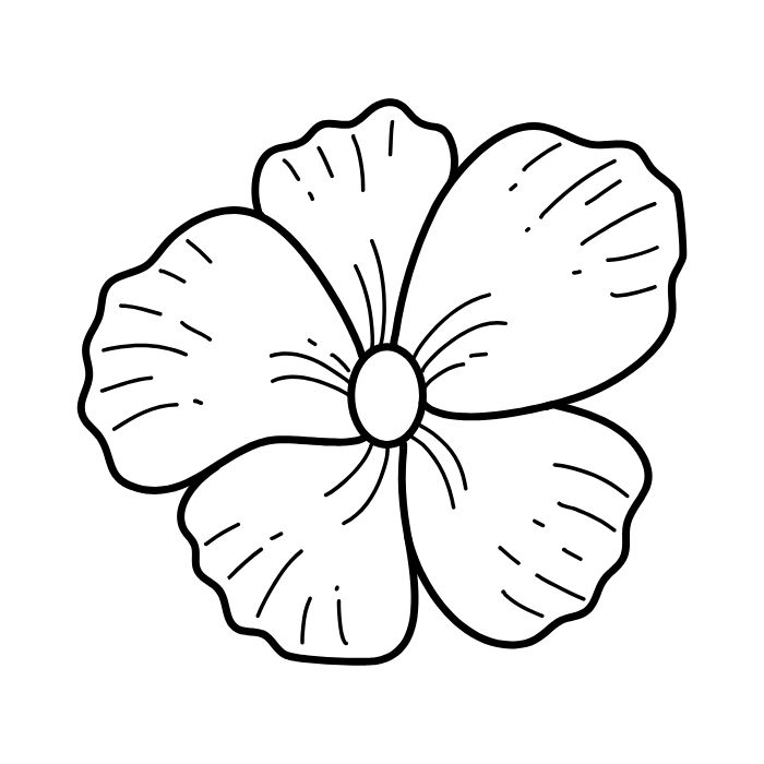 tranh tô màu bông hoa 5 cánh 7