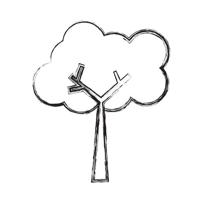 tranh tô màu cây xanh 18