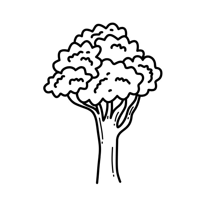 tranh tô màu cây xanh 3