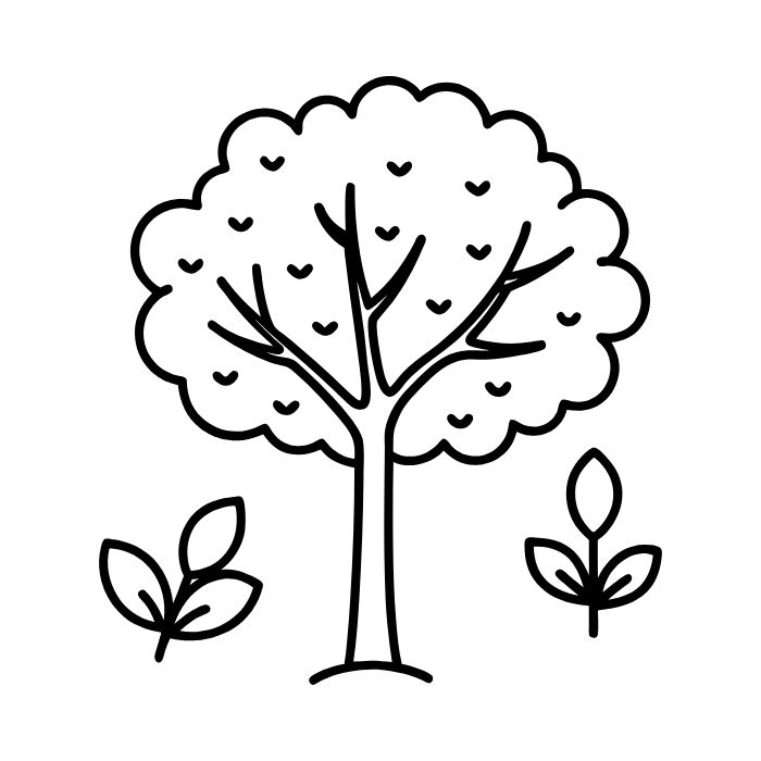 tranh tô màu cây xanh 37