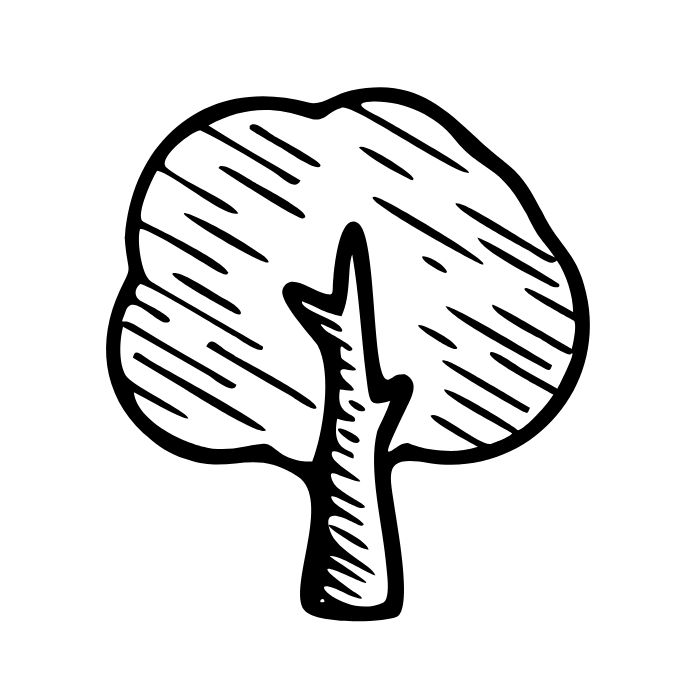 tranh tô màu cây xanh 6