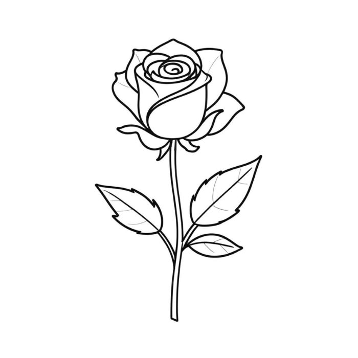 tranh tô màu hoa hồng 11