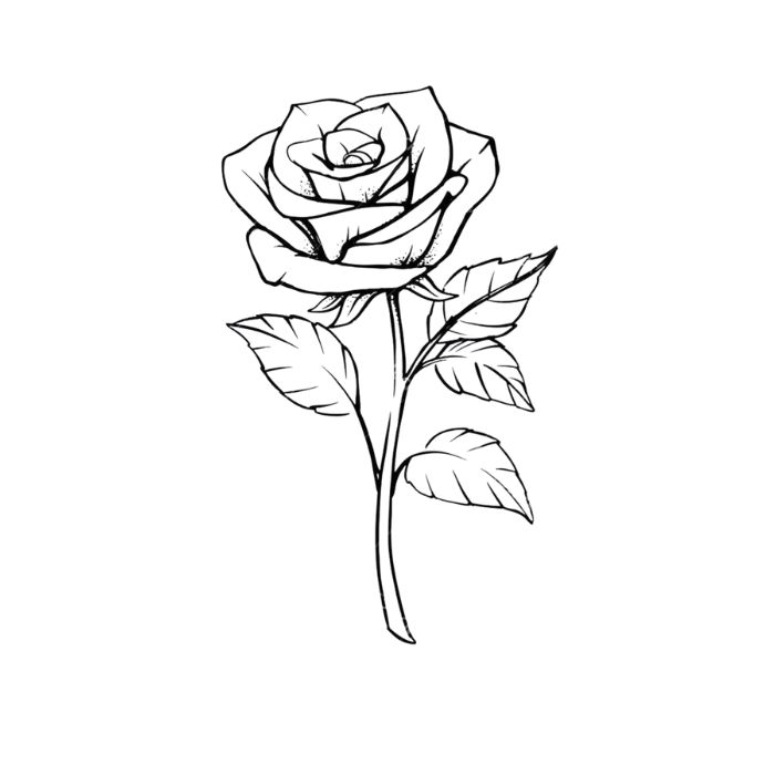 tranh tô màu hoa hồng 13