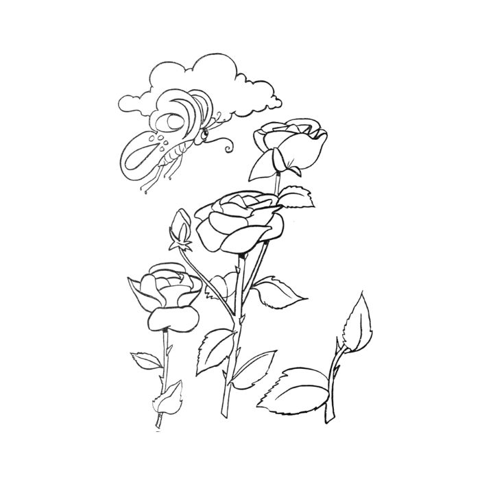 tranh tô màu hoa hồng 2