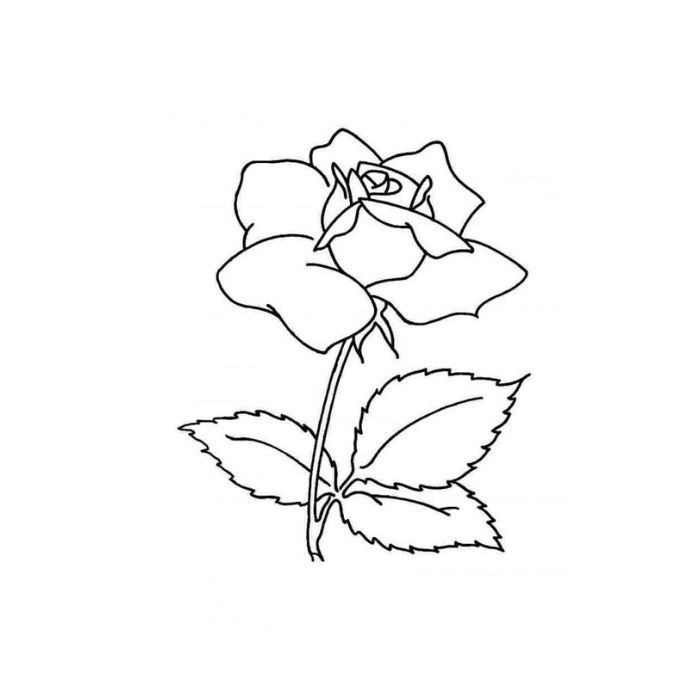 tranh tô màu hoa hồng 26