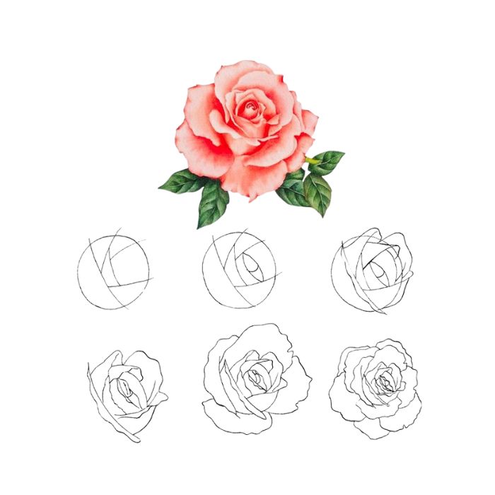 tranh tô màu hoa hồng 6