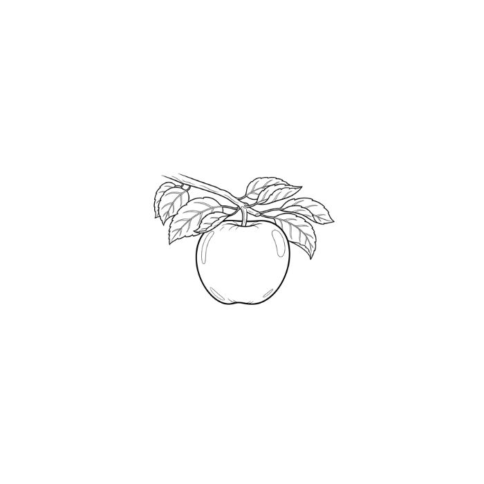 tranh tô màu quả táo 10