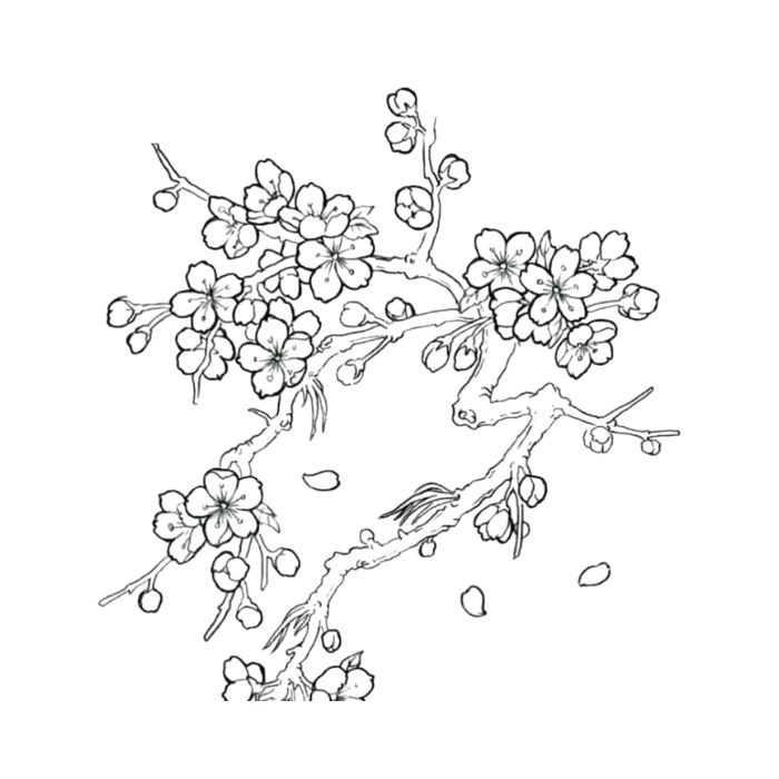 tranh tô màu tết 27