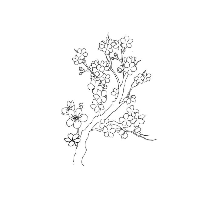 tranh tô màu tết 28