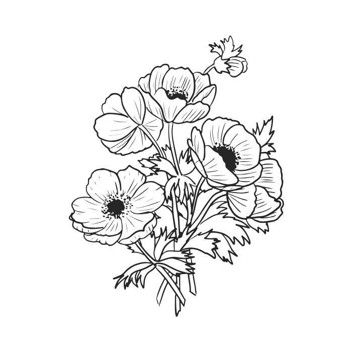 tranh vẽ tô màu 34