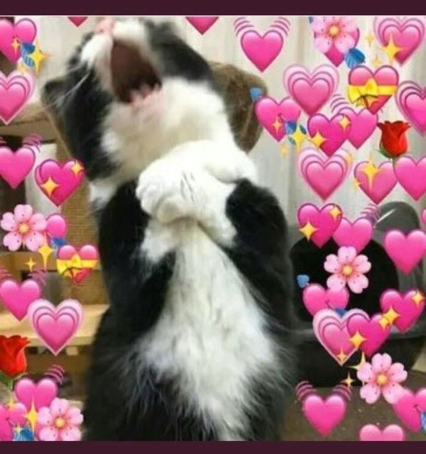 ảnh chế meme trái tim cực buồn cười