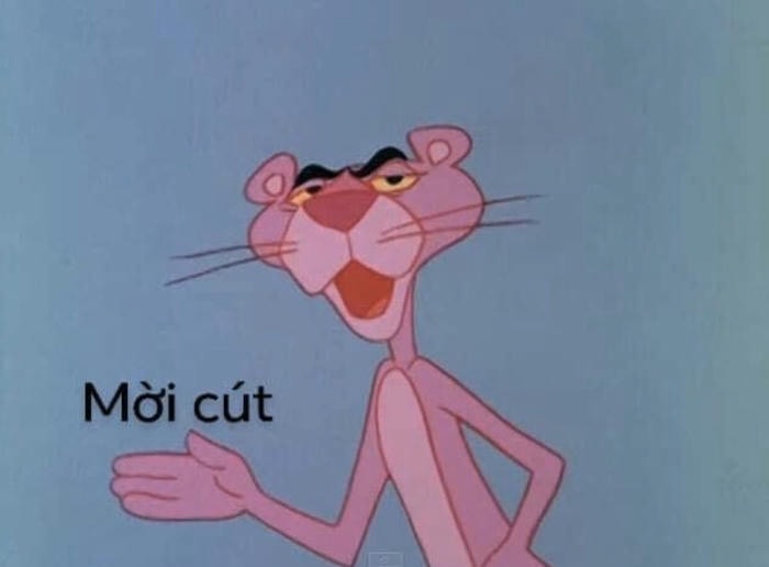ảnh meme cút ra ngoài