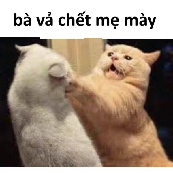 ảnh meme đánh nhau bựa