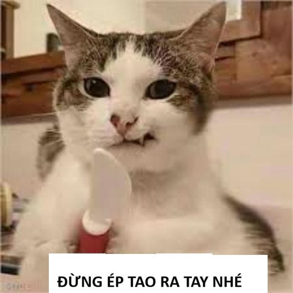 ảnh meme đánh nhau cực hài