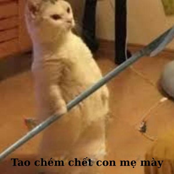 ảnh meme đánh nhau hài