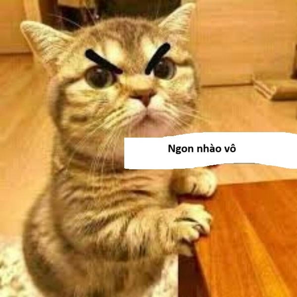 ảnh meme đánh nhau