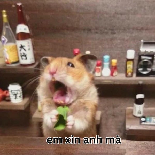ảnh meme hamster cực dễ thương