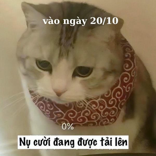 ảnh troll 20.10 nụ cười đểu tắt